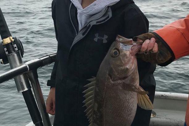 a person holding a fish in the water