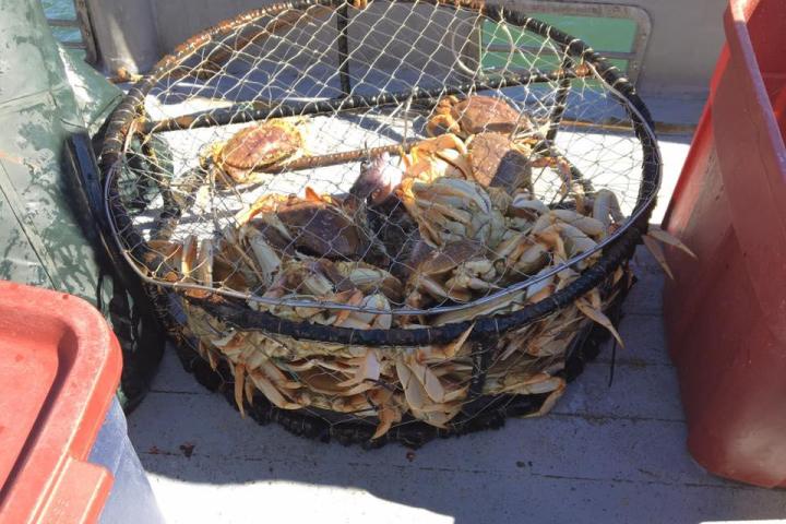 a close up of food on a grill