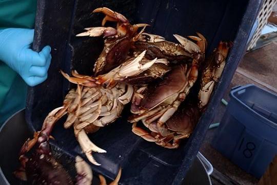 a person sitting on a pan
