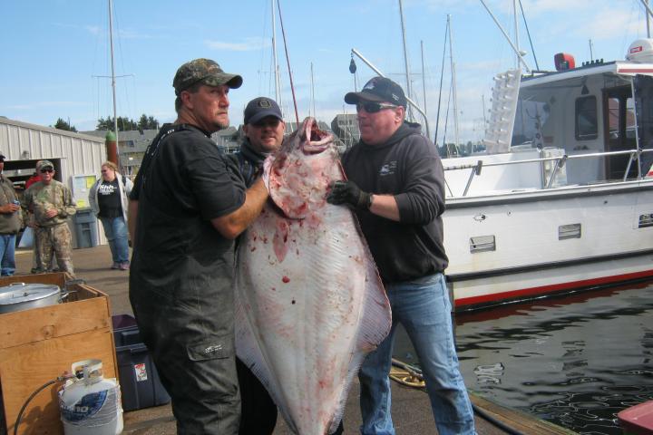 a man holding a fish on a boat