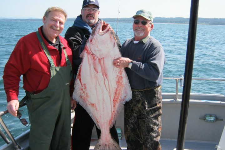 a person holding a fish in the water