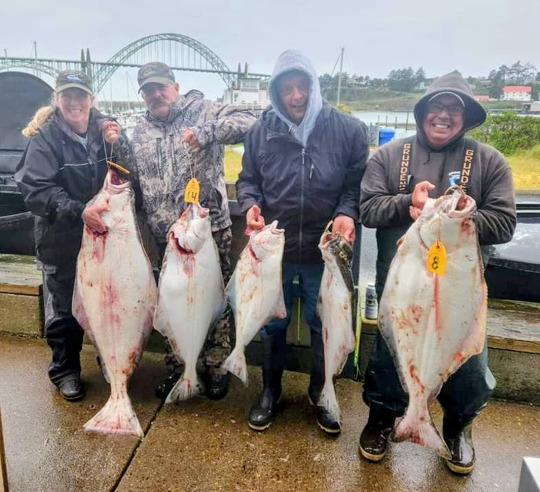 Yaquina Bay Charters Halibut 2025 Three men and a woman holding up each of their catches of the day, pacific halibut