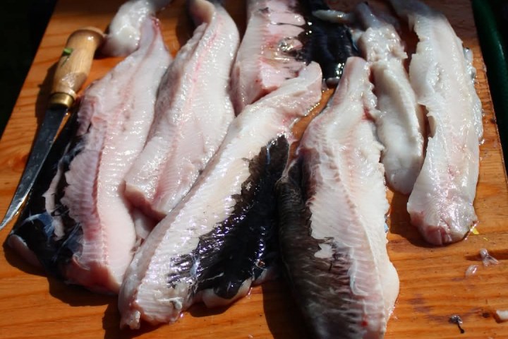 black cod fillets on a table